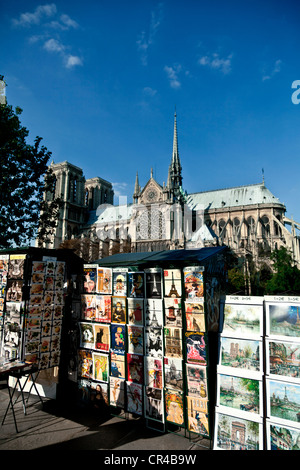 Sale of secondhand books, Quai de la Tournelle, and the Cathedral of Notre Dame in the city of Paris, France, Europe Stock Photo