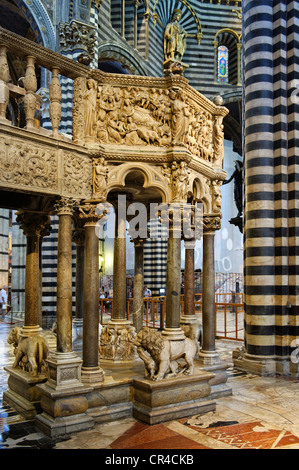 Pulpit by Niccolo Pisano, Duomo di Siena, Cattedrale di Santa Maria Assunta cathedral, Siena, Tuscany, Italy, Europe Stock Photo