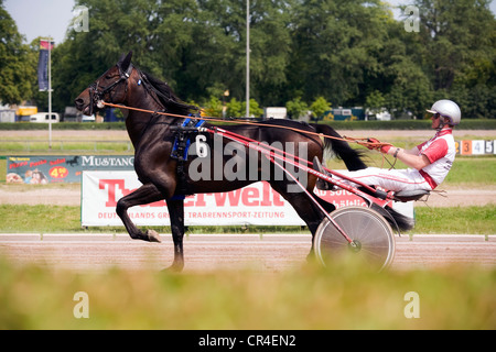 Trotting horse race sulky Stock Photo - Alamy