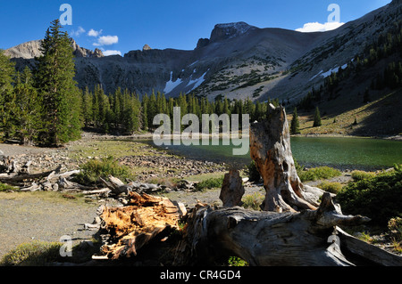 Teresa Lake below Mount Wheeler peak, Great Basin National Park, Nevada, USA, North America Stock Photo