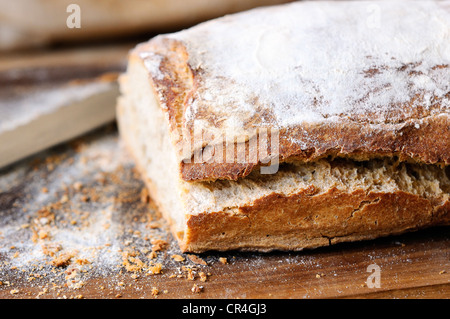 Freshly baked french bread, quality traditional food Stock Photo