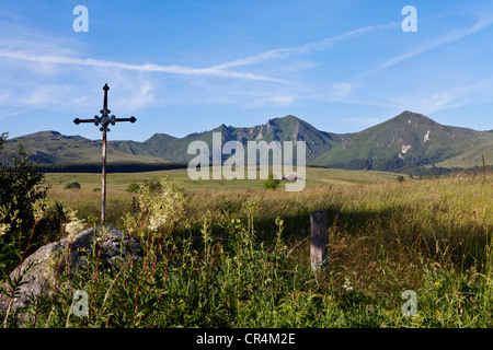 Fontaine Salee reserve, Auvergne Volcanoes Natural Regional Park, massif of Sancy, Puy de Dome, Auvergne, France, Europe Stock Photo