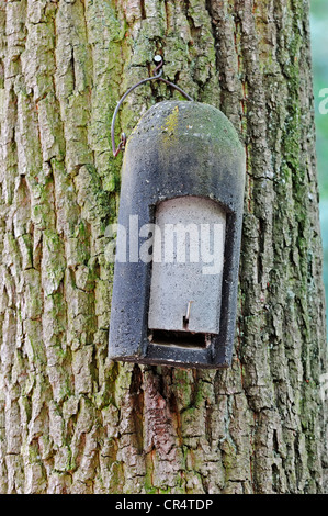 Bat box on a tree, North Rhine-Westphalia, Germany, Europe Stock Photo