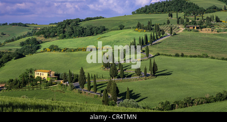 The zig Zag road of La Foce Tuscany Italy made famous by the books of ...