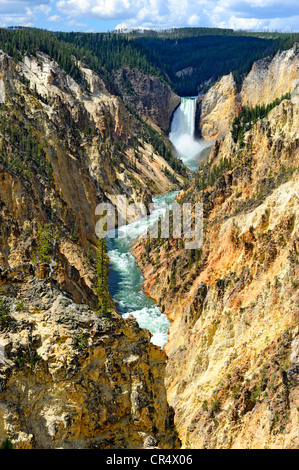 Lower Falls Yellowstone River National Park Wyoming WY United States