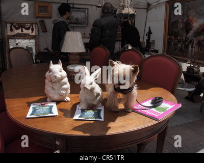 Yorkshire Terrier is placed on a table while its owner shops on Rue Cler in Paris, France, May 13, 2012, © Katharine Andriotis Stock Photo