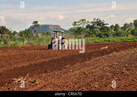 Field work, tractor on a field, settlement of the Movimento dos Trabalhadores Rurais sem Terra landless movement, MST Stock Photo