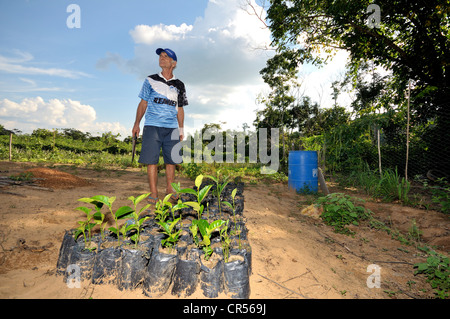 Farmer with seedlings, Acampamento 12 de Otubro landless camp, Movimento dos Trabalhadores Rurais sem Terra Stock Photo