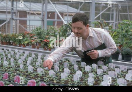 young man with downs syndrome working in garden nursery Stock Photo