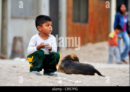 Boy looking pensively with dog, poor district of Villa El Salvador, Lima, Peru, South America Stock Photo