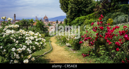 Giardino delle Rose, Florence, Firenze, Tuscany, Italy, Europe Stock Photo