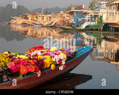 Flowers are sold from a Shikara, traditional boat on Dal Lake, Srinagar, Jammu and Kashmir, India, Asia Stock Photo