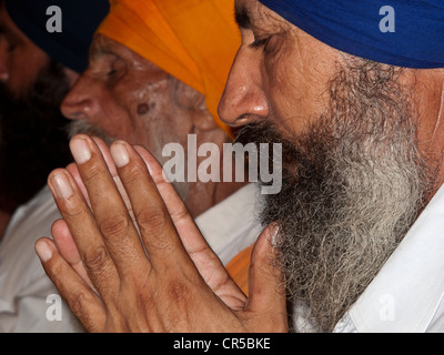 Sikh devotee praying at the entrance into the Golden Temple Complex, Amritsar, Punjab, India, Asia Stock Photo