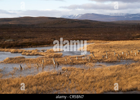 Norway, Lapland, Finnmark County, Karasjok, landscape between Karasjok and Lakselv Stock Photo