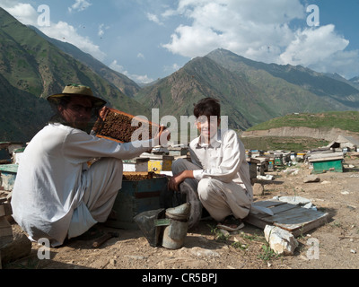 Locals producing honey the traditional way, in the area south of Naran, North West Frontier, Pakistan, South Asia Stock Photo