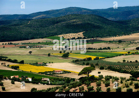 Italy, Tuscany, La Maremma landscape from Capalbio Stock Photo