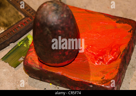 The colour red for the make-up of the Kathakali dancers is made from Chayallium, Varkala, Kerala, India, Asia Stock Photo