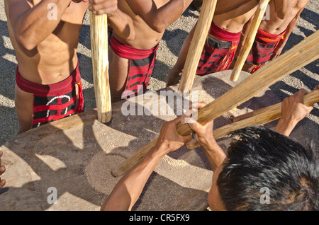Members of the Samdom tribe show their traditional way of crushing crops at the annual Hornbill Festival, , India, Asia Stock Photo
