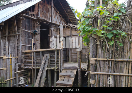 Traditional house of the Apatani tribe in Hong village in the hills of the Ziro area, Arunachal Pradesh, India, Asia Stock Photo