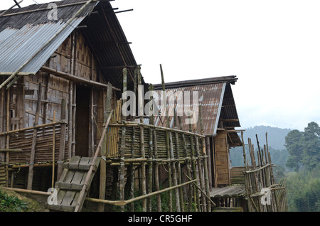 Traditional houses of the Apatani tribe in Hong village in the hills of the Ziro area, Arunachal Pradesh, India, Asia Stock Photo