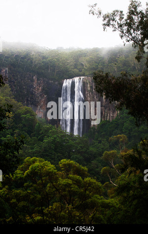 Minyon Falls plunges 100m in the Nightcap National Park. Stock Photo