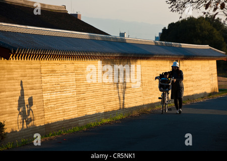 Japan, Honshu Island, Kinki Region, city of Nara, site of the Imperial Palace of Heijo Stock Photo