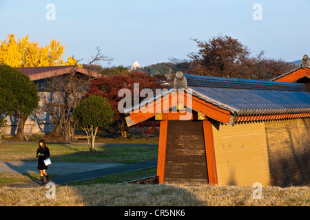 Japan, Honshu Island, Kinki Region, city of Nara, site of the Imperial Palace of Heijo Stock Photo