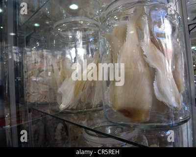 Dried shark fins for sale in chinese food shop, Sydney, Australia