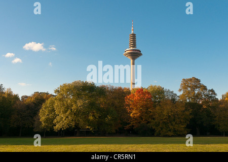 Europaturm tower, nicknamed 'Ginnheimer Spargel', in the evening light, autumn, Frankfurt am Main, Hesse, Germany, Europe Stock Photo