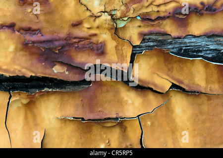 Rusty paint residues on wood Stock Photo