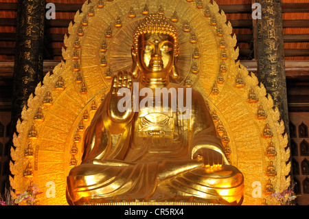 Gold-plated Buddha statue, Pagoda Chua Bai Dinh, Ninh Binh, Vietnam, Southeast Asia, Asia Stock Photo