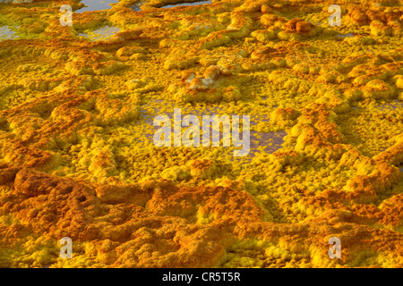 Sulphure formations, Dallol, Danakil Depression, Ethiopia, Africa Stock Photo