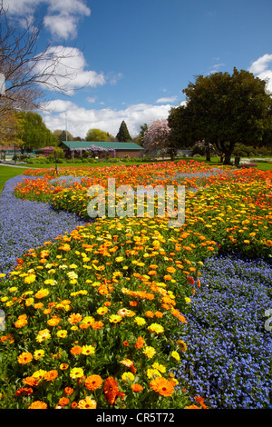 Spring Flowers, Pollard Park, Blenheim, Marlborough, South Island, New Zealand Stock Photo