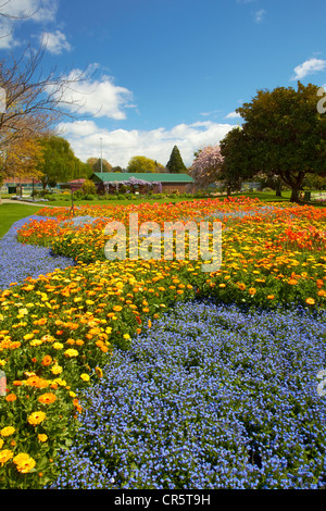 Spring Flowers, Pollard Park, Blenheim, Marlborough, South Island, New Zealand Stock Photo