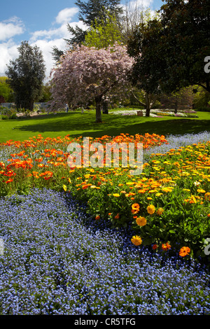 Spring Flowers, Pollard Park, Blenheim, Marlborough, South Island, New Zealand Stock Photo