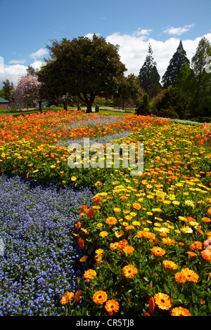 Spring Flowers, Pollard Park, Blenheim, Marlborough, South Island, New Zealand Stock Photo