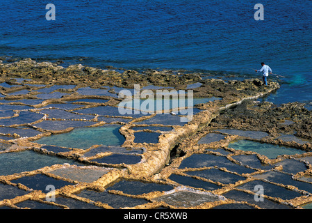 Malta, Gozo Island,salted marshes carved in the rock Stock Photo