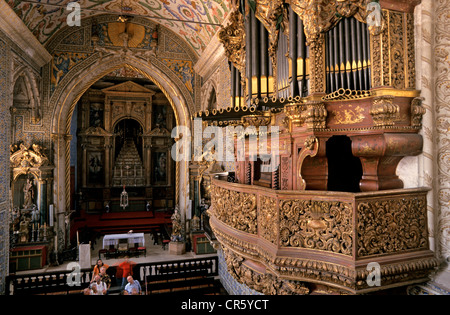 Portugal, Centre Region, Coimbra, Coimbra University, Manueline style S. Miguel Chapel and its Baroque organ dated 18th century Stock Photo