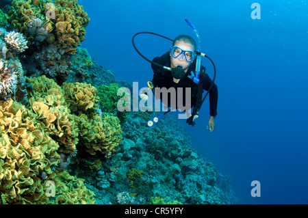 male scuba diver swims in the red sea on a coral reef Stock Photo