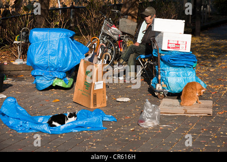 Japan, Honshu Island, Tokyo, homeless in the Ueno Park Stock Photo