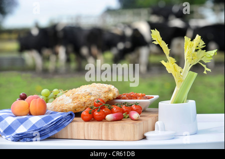 A picnic lunch laid out with a herd of Friesian cows behind UK Stock Photo