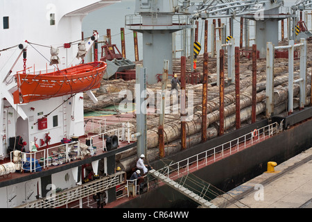 South Africa, Kwazulu Natal Province, Durban, port, load of precious wood Stock Photo