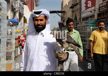 Man carrying a hunting falcon on his arm, animal market in Souq al Waqif, the oldest souq or bazaar in the country, , Qatar Stock Photo