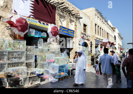 Animal market in Souq al Waqif, the oldest souq or bazaar in the country, , Qatar, Arabian Peninsula, Persian Gulf, Middle East Stock Photo