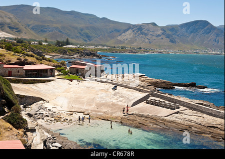 South Africa, Western Cape, Hermanus is an ideal spot to watch Southern right whales Stock Photo