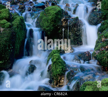 creek flowing over the rocks Stock Photo - Alamy