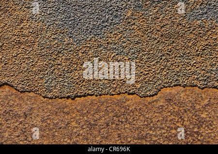 Rusty metal plate Stock Photo