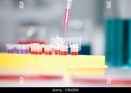 Germany, Bavaria, Munich, Pipette pouring liquid into test tubes for medical research Stock Photo