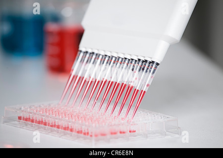 Germany, Bavaria, Munich, Multichannel pipette dispensing red reagent into test tray for medical research Stock Photo