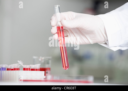 Germany, Bavaria, Munich, Scientist holding red liquid in test tube for medical research in laboratory Stock Photo